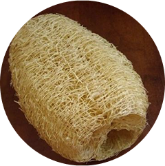 Ty qua lạc