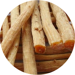 Xuyên ngưu tất