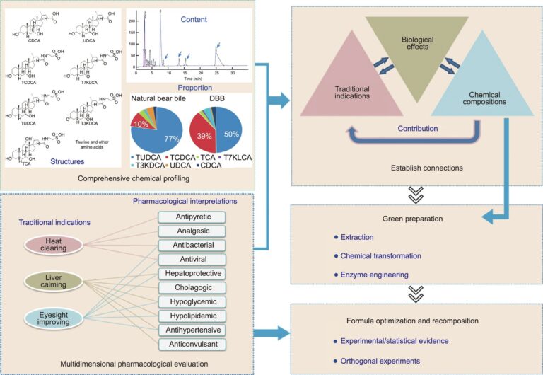 Artificial Bear Bile: A Novel Approach to Balancing Medical Requirements and Animal Welfare