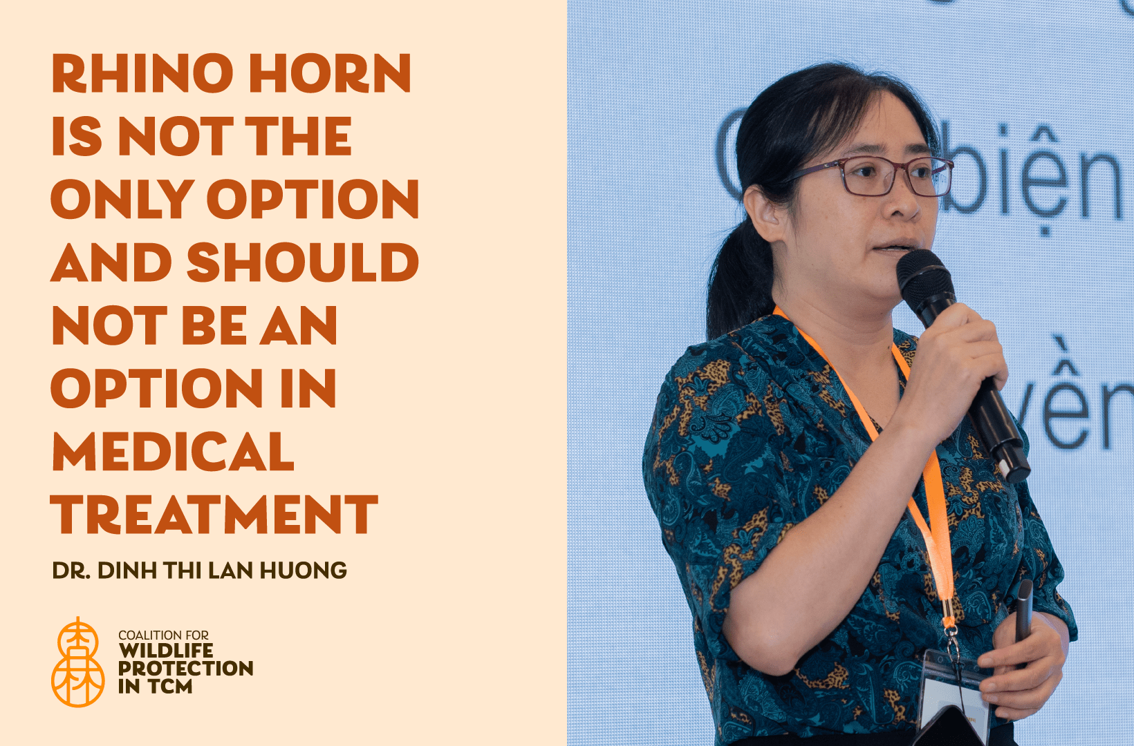 Dr. Dinh Thi Lan Huong, Traditional medicine physician and researcher at the Institute of Traditional Medicine, Ho Chi Minh City: Rhino horn is not the only option and should not be an option in medical treatment.