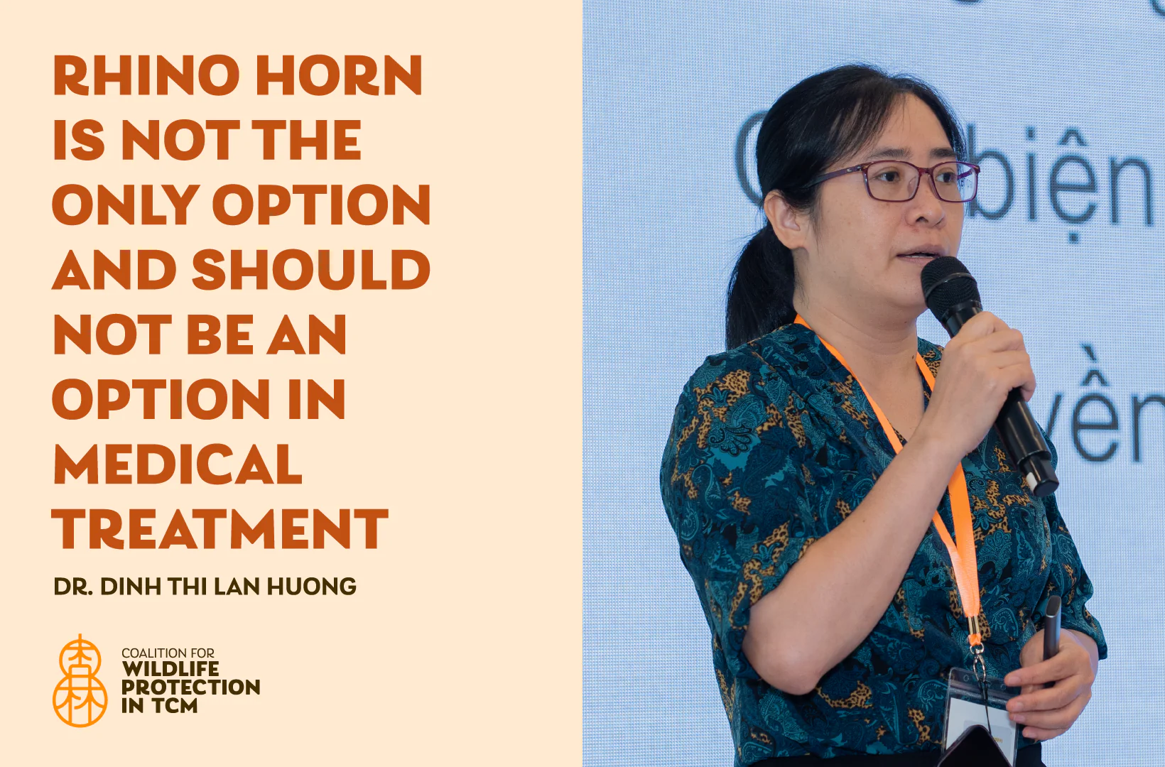 Dr. Dinh Thi Lan Huong, Traditional medicine physician and researcher at the Institute of Traditional Medicine, Ho Chi Minh City: Rhino horn is not the only option and should not be an option in medical treatment.