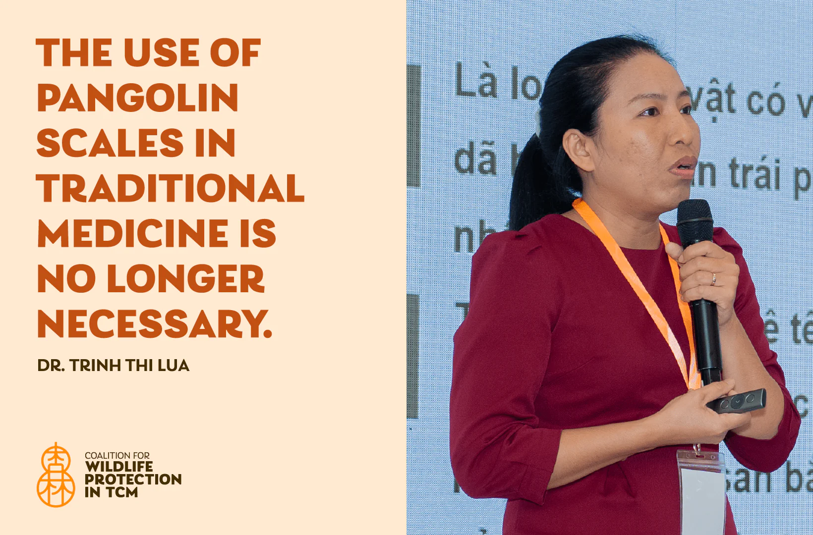 Dr. Trinh Thi Lua: The use of pangolin scales in traditional medicine is no longer necessary.