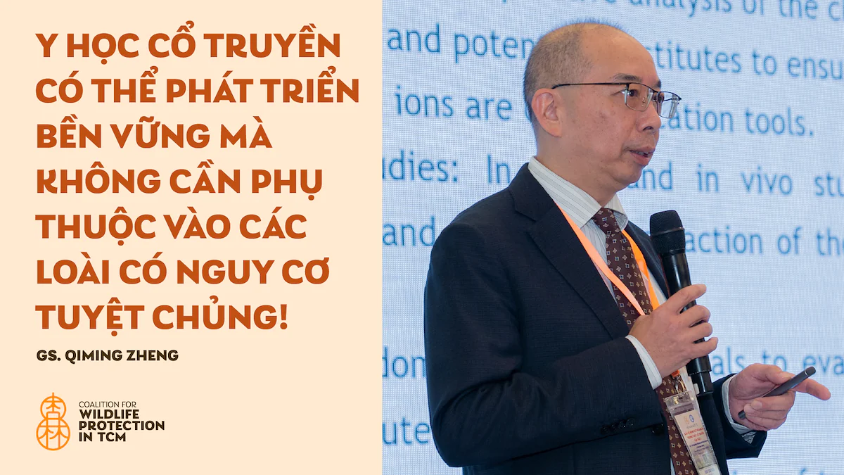 GS. Qiming Zheng – Chủ tịch Hiệp hội Y học cổ truyền & Châm cứu Philippines - Y học cổ truyền có thể phát triển bền vững mà không cần phụ thuộc vào các loài có nguy cơ tuyệt chủng!